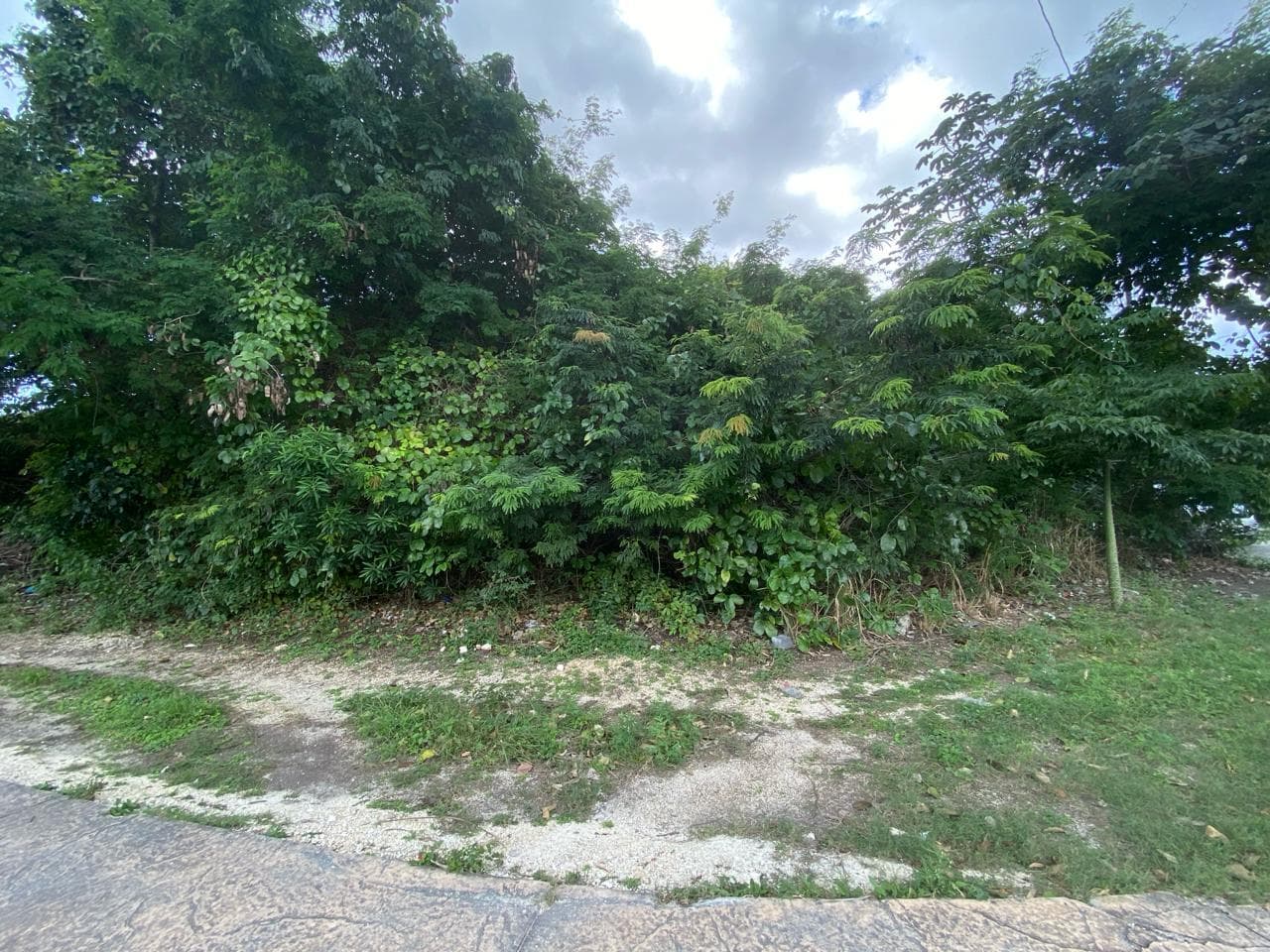 image-9