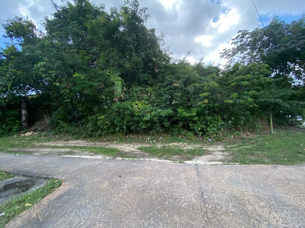 image-1