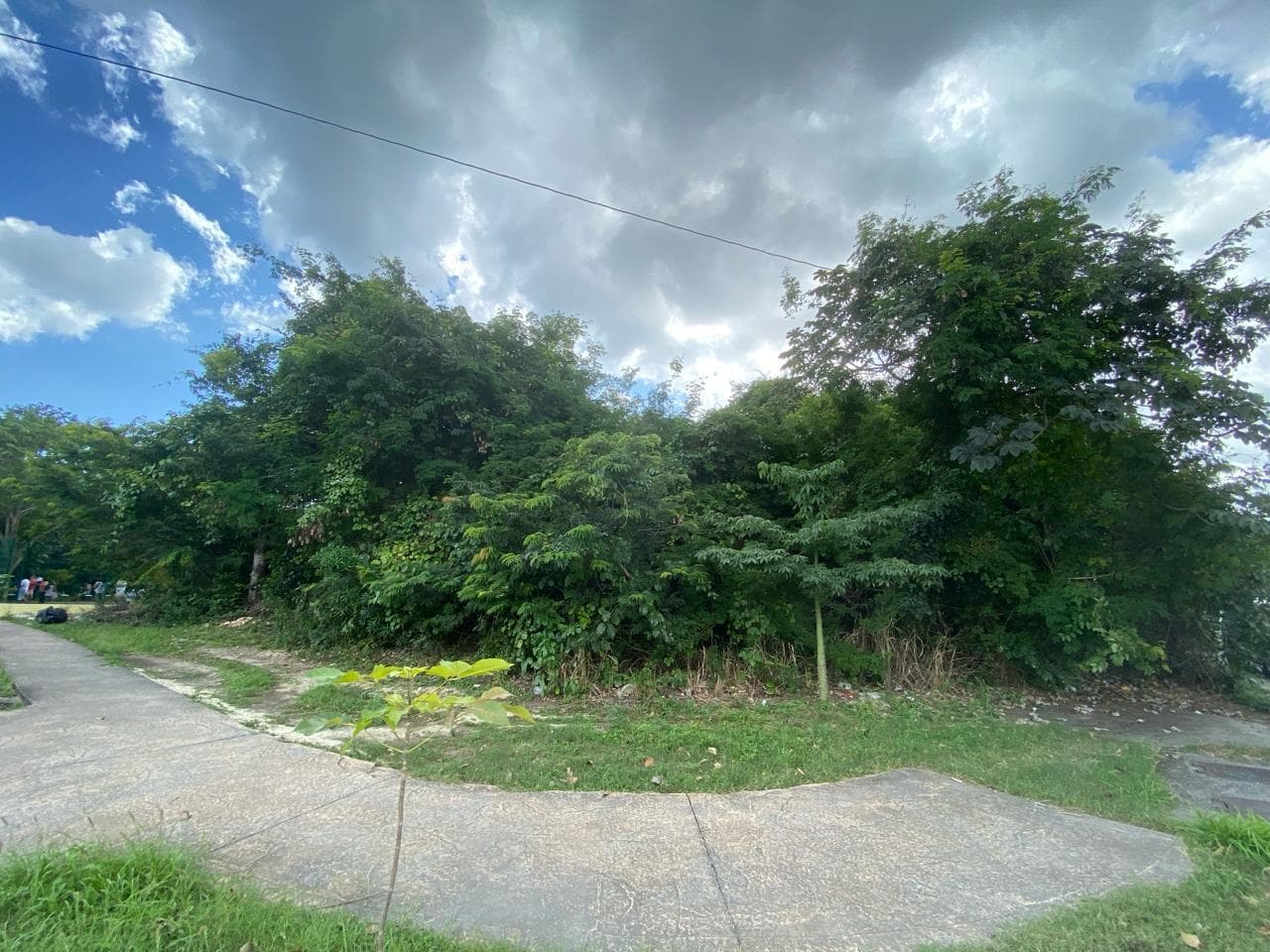 image-0