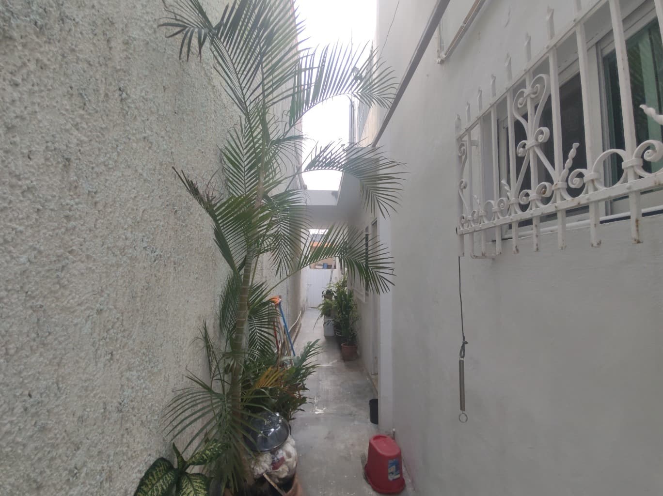 image-2