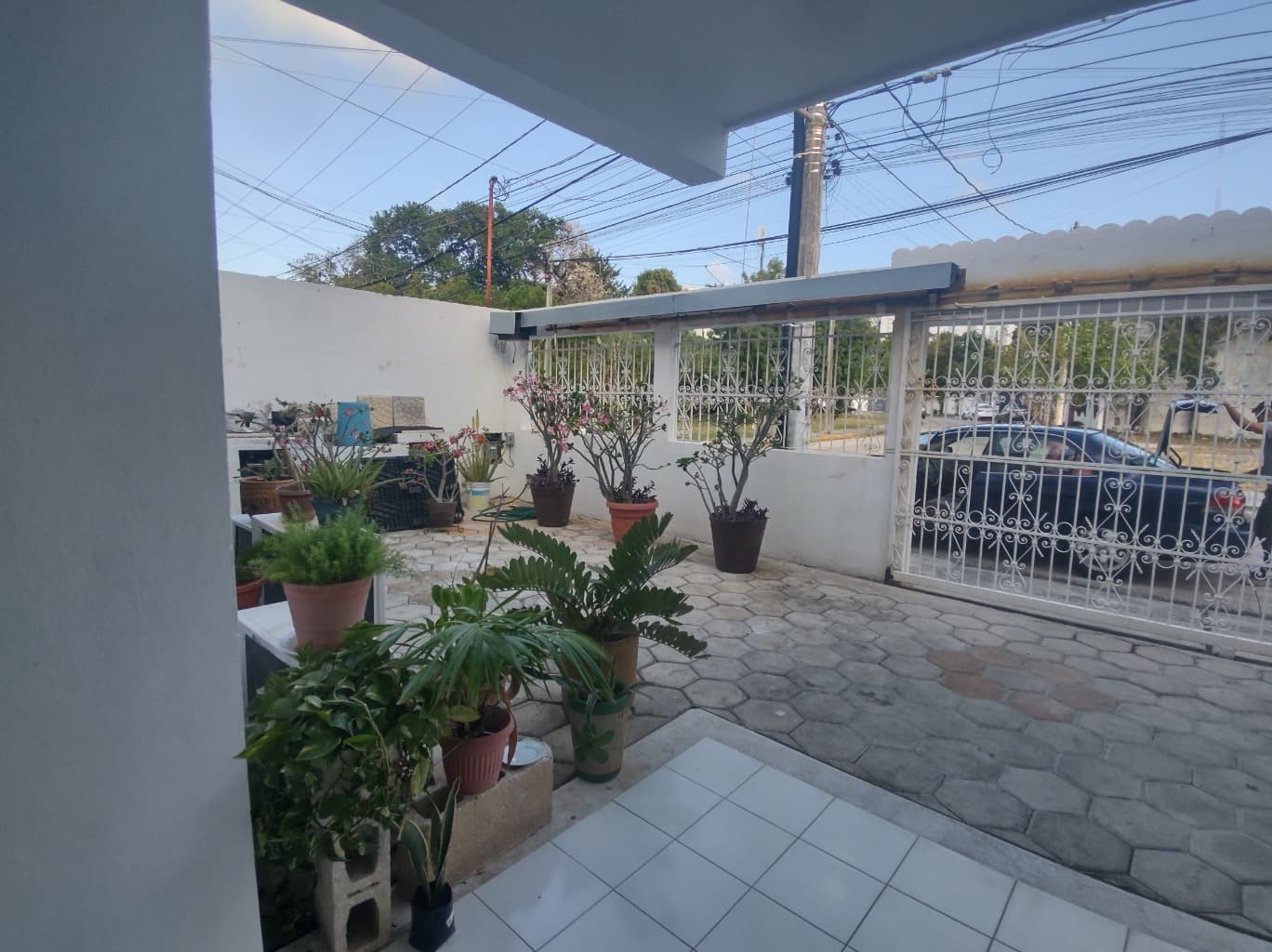 image-3