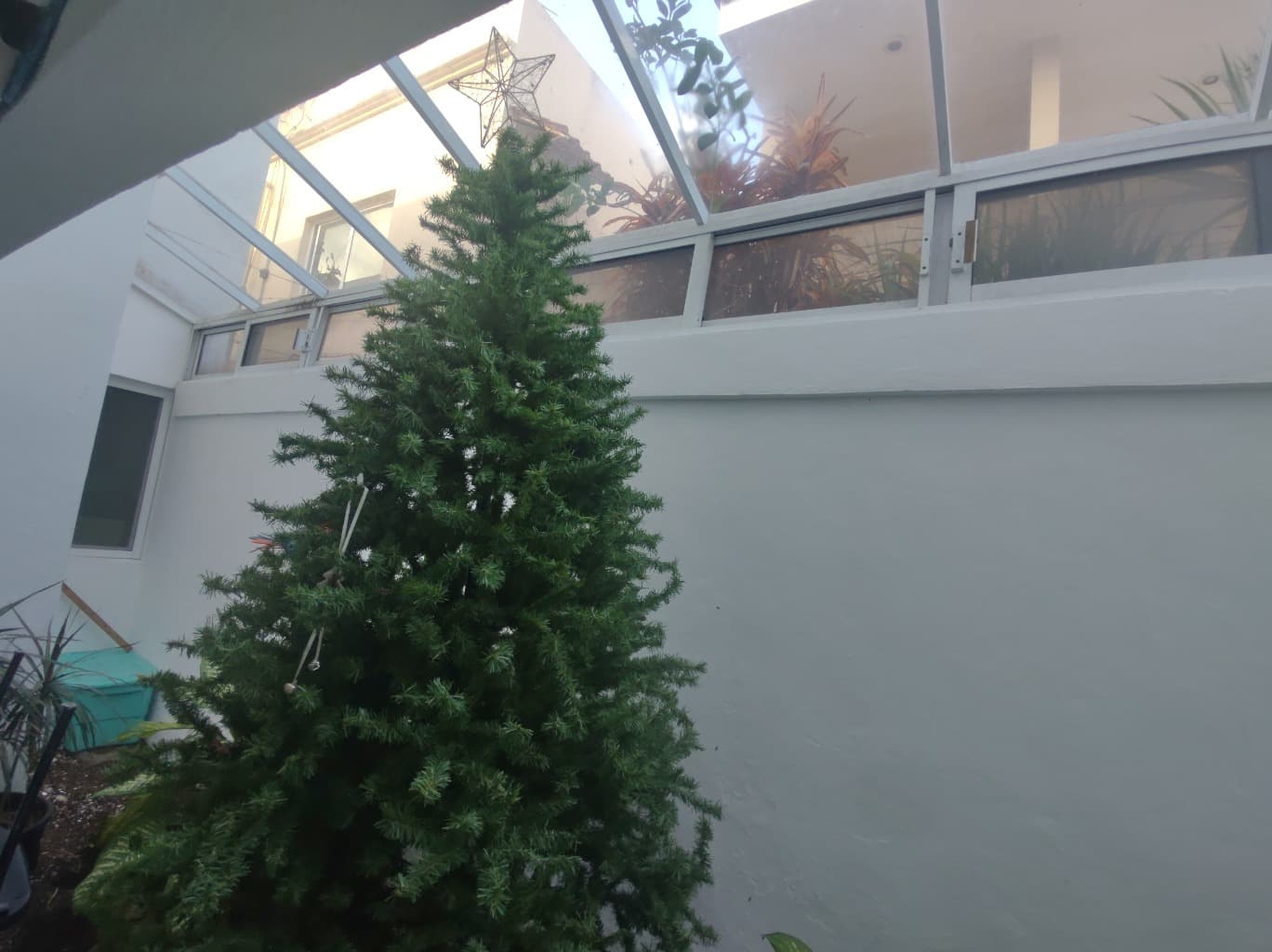 image-6