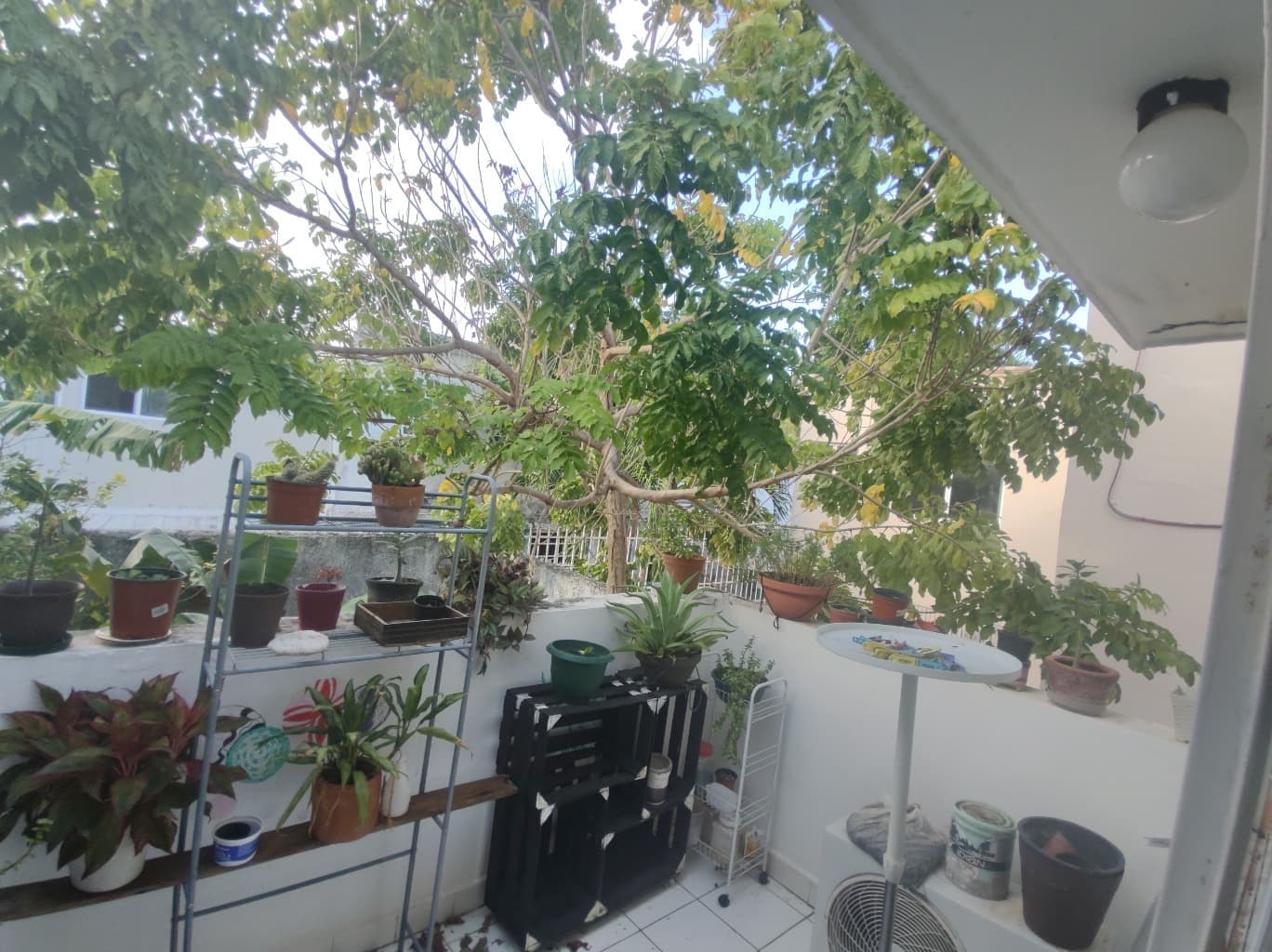 image-14