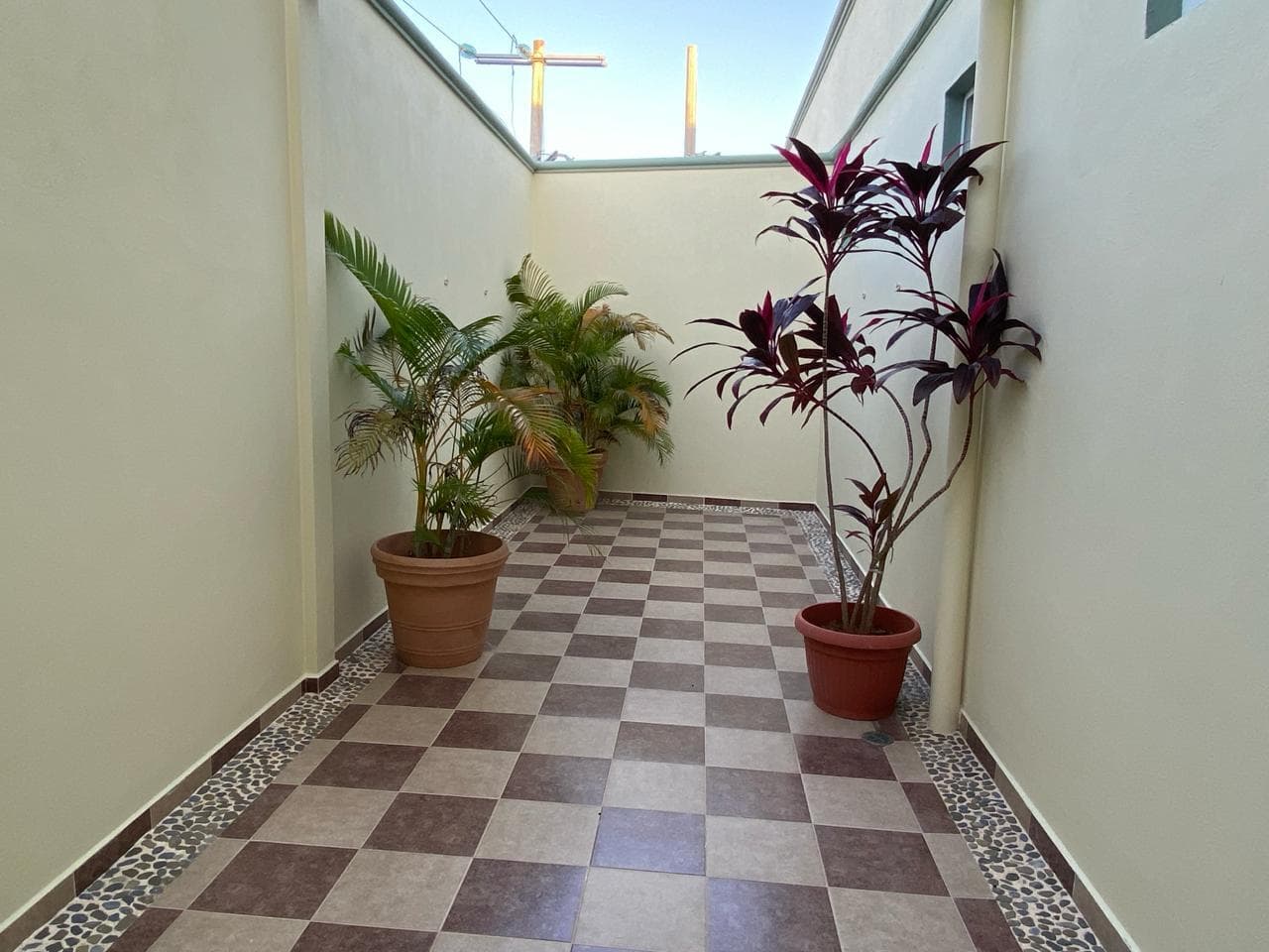 image-20
