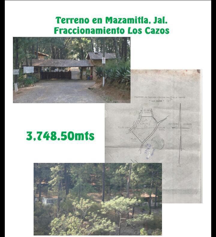 image-17