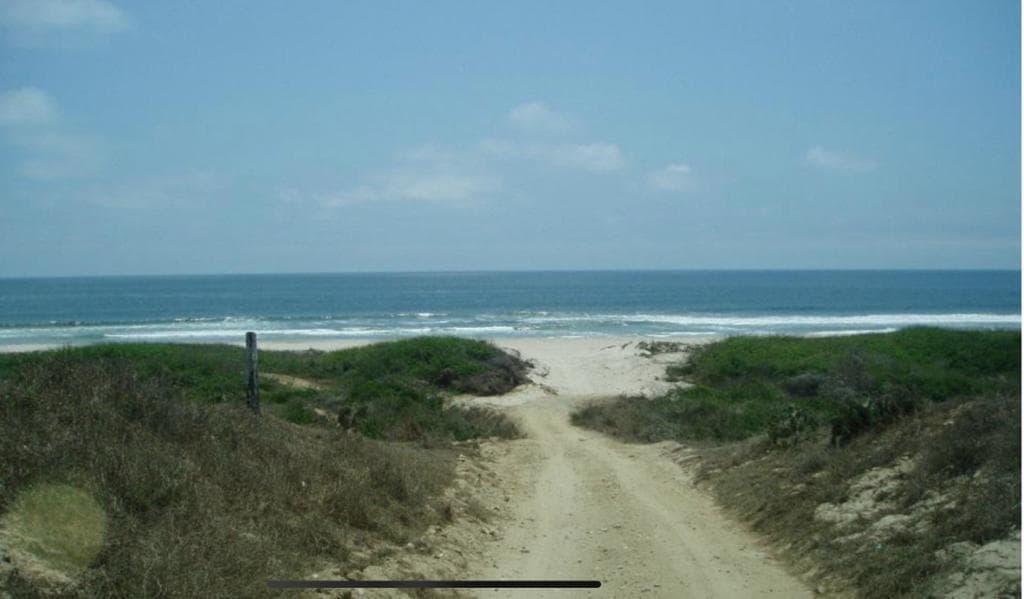 image-0