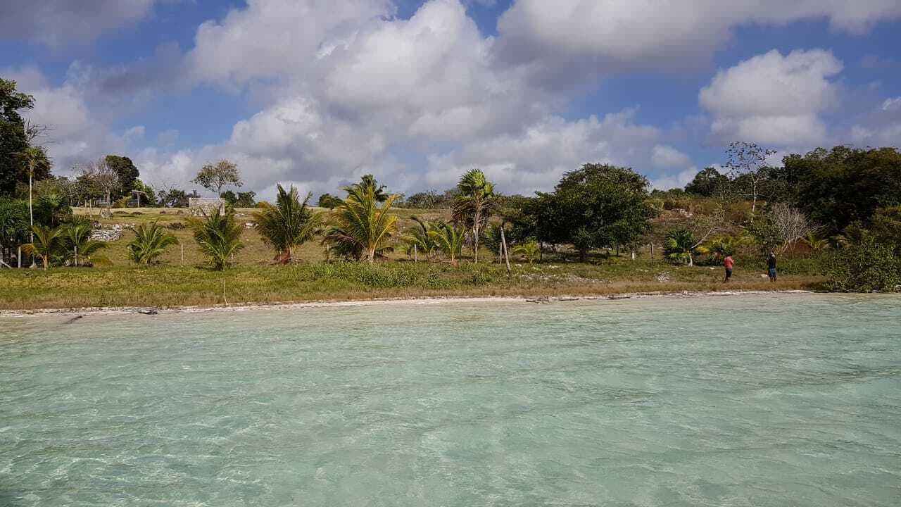 image-4