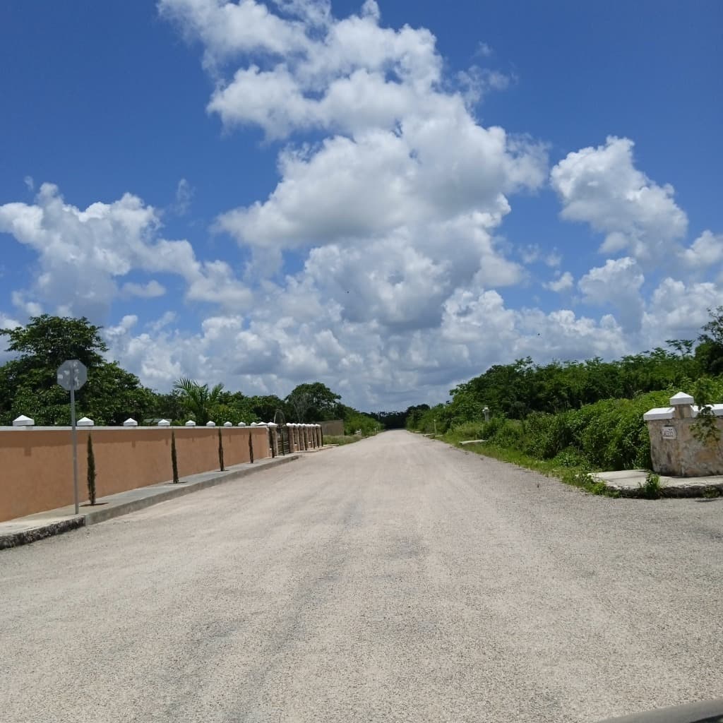 image-20