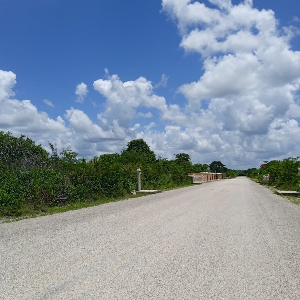 image-19