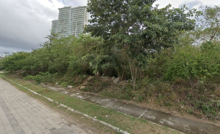 image-3