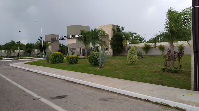 image-9