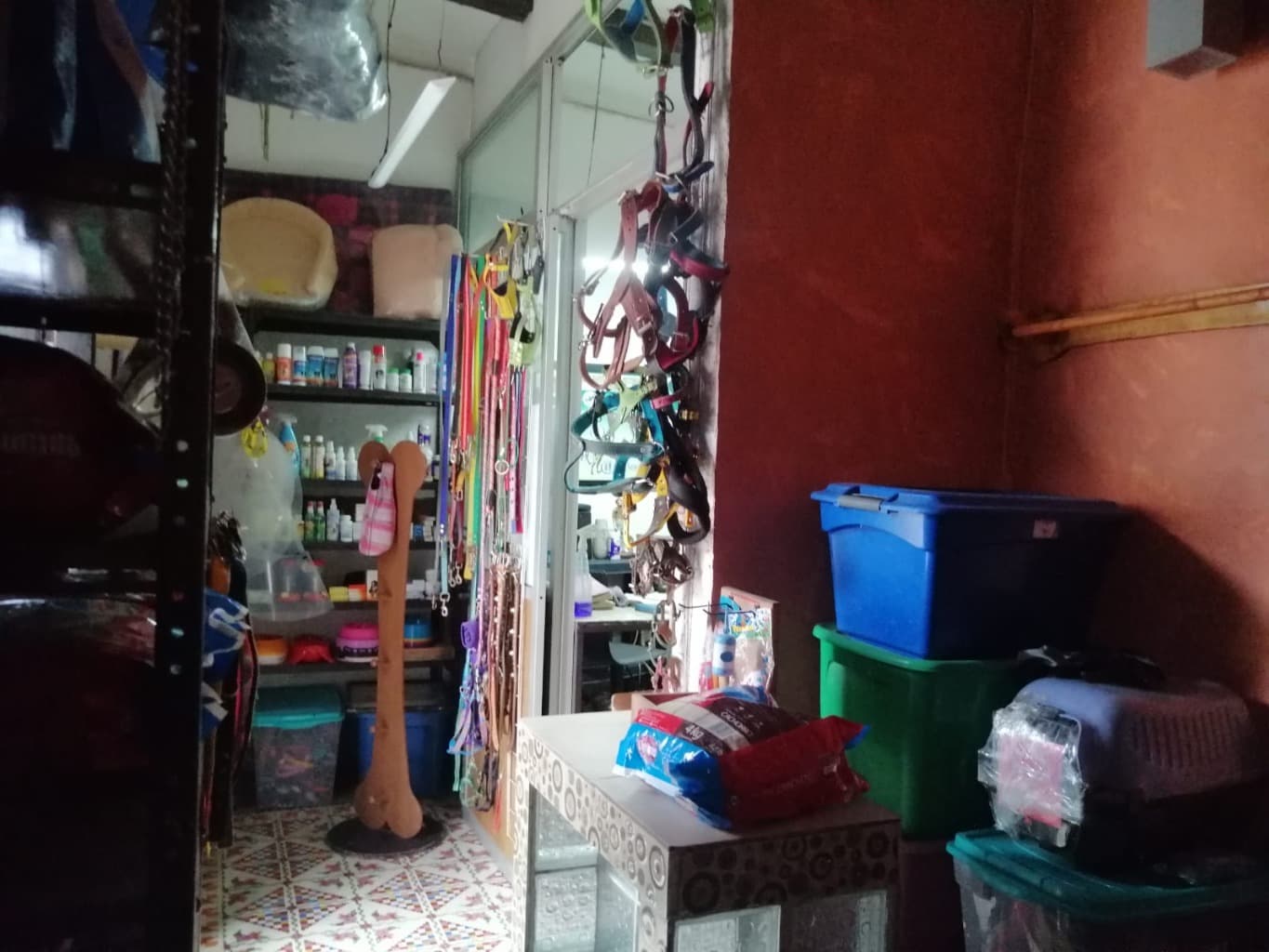 image-6