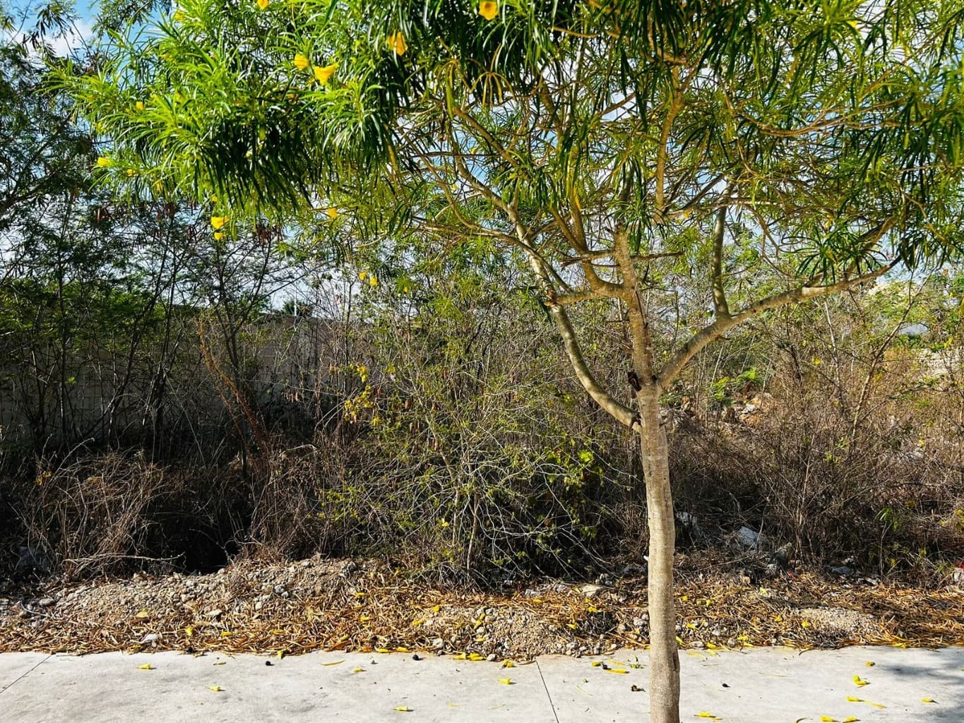 image-14