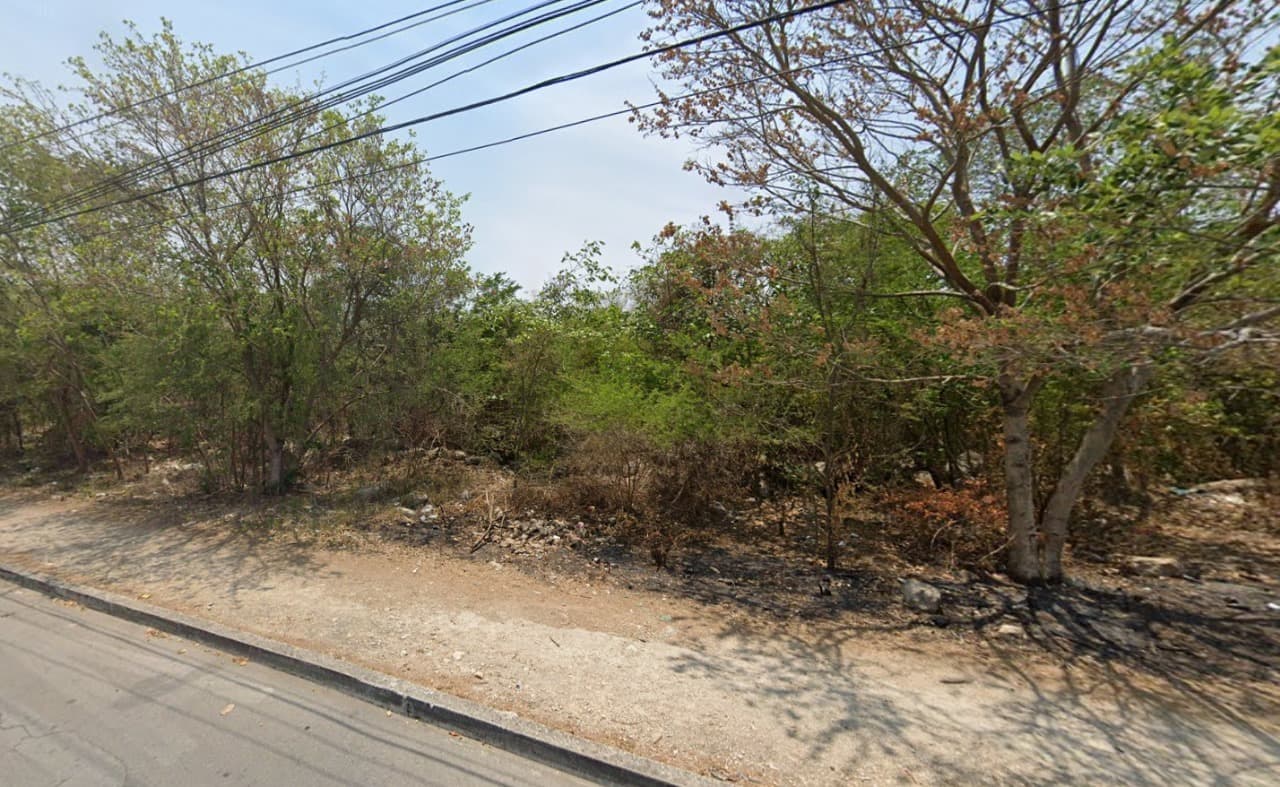 image-0