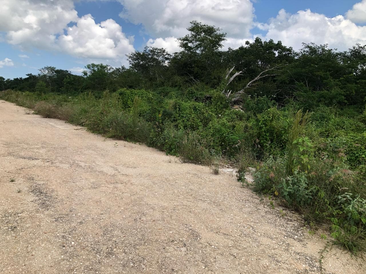 image-0