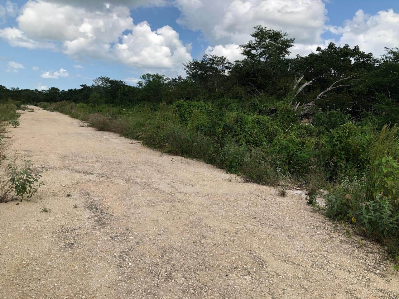 image-0