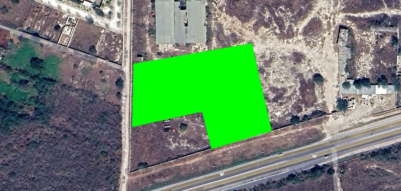 image-0