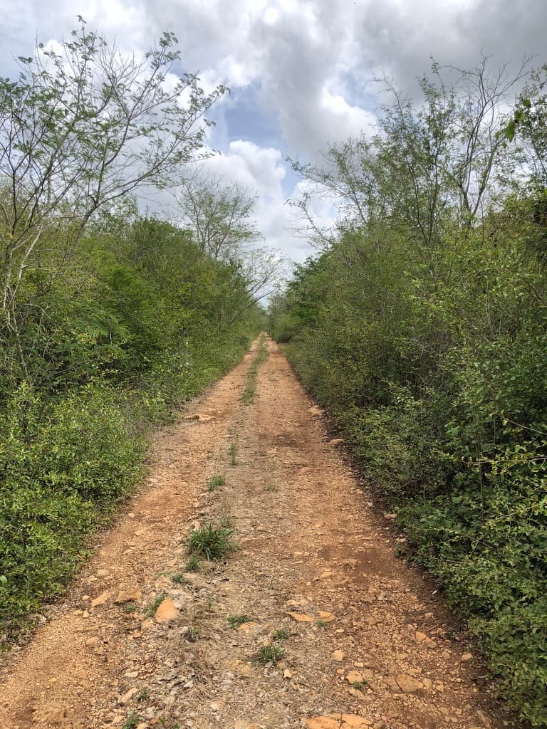 image-3