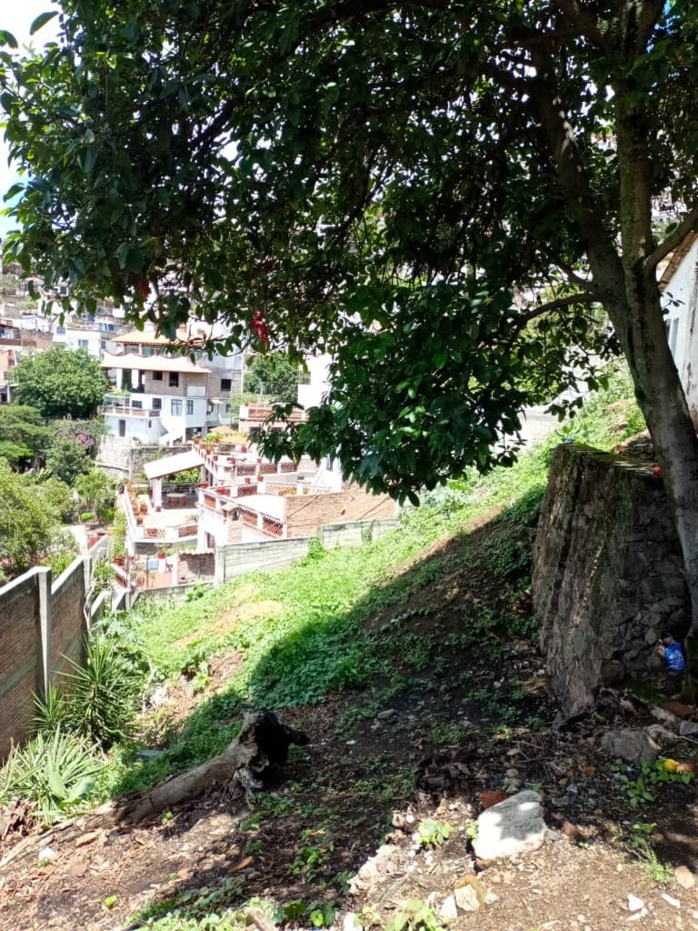 image-5