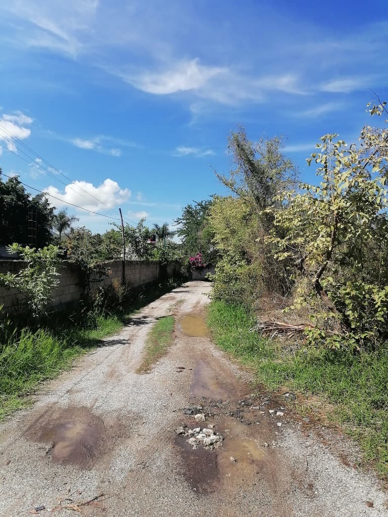 image-0
