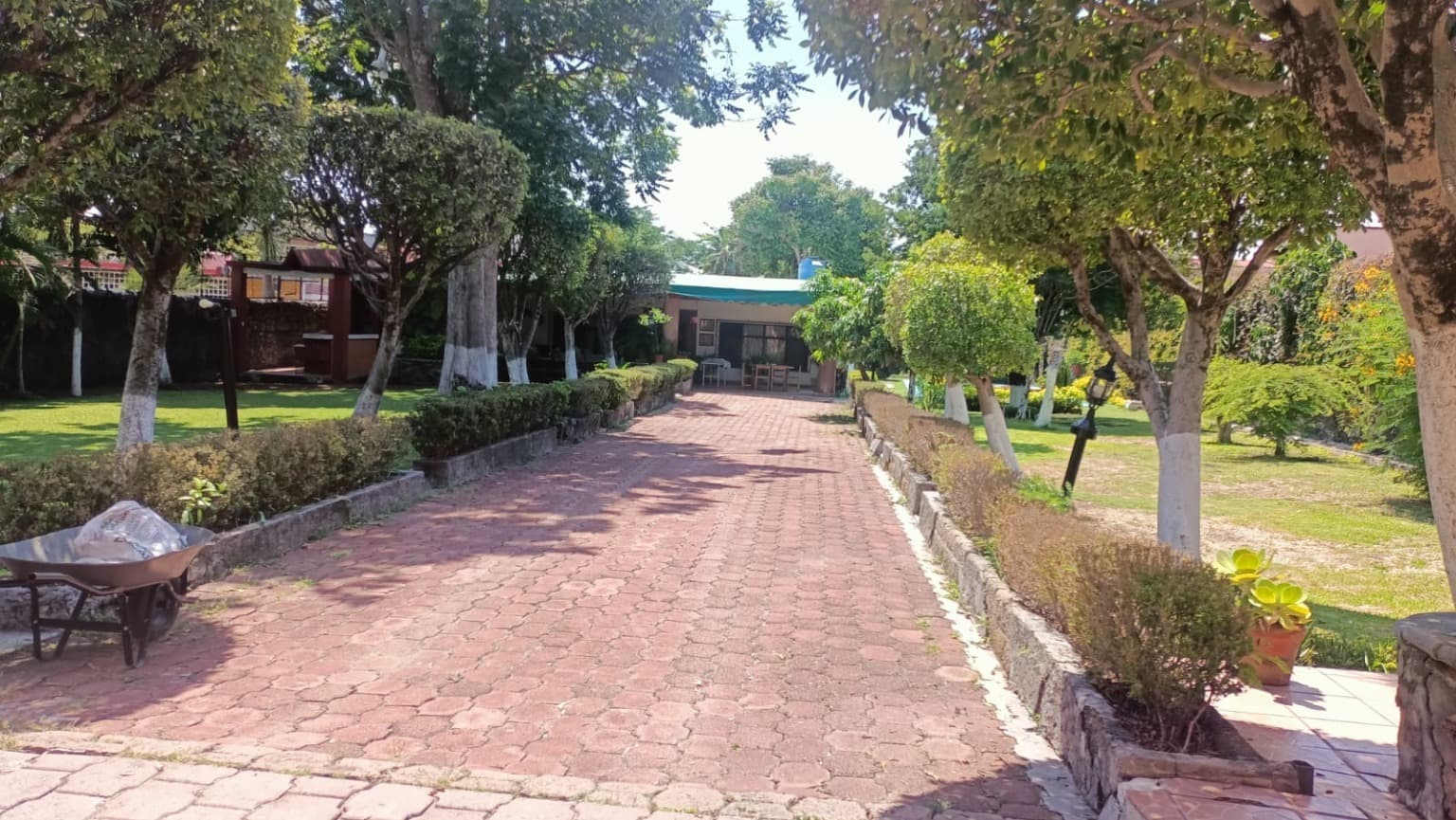 image-21