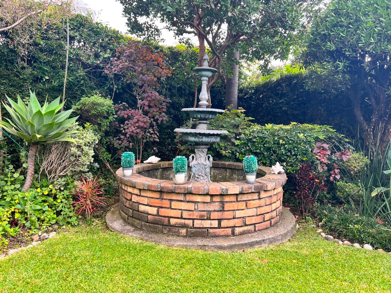 image-17