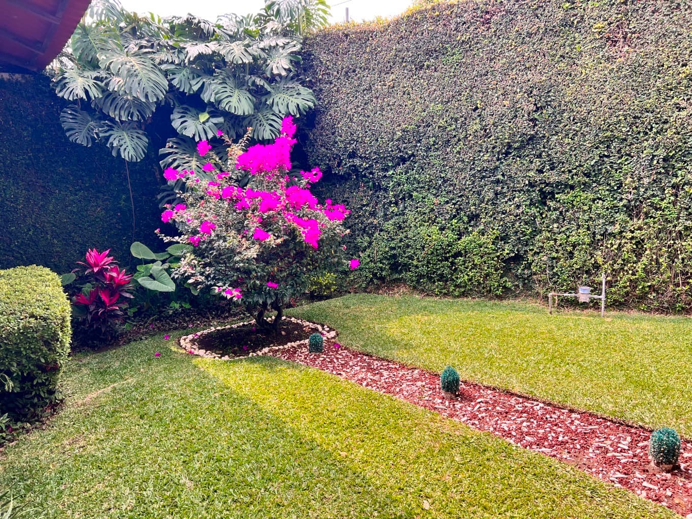 image-25