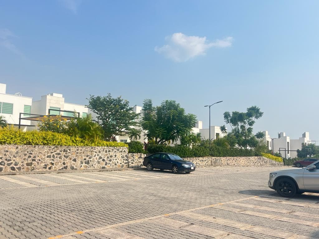 image-20