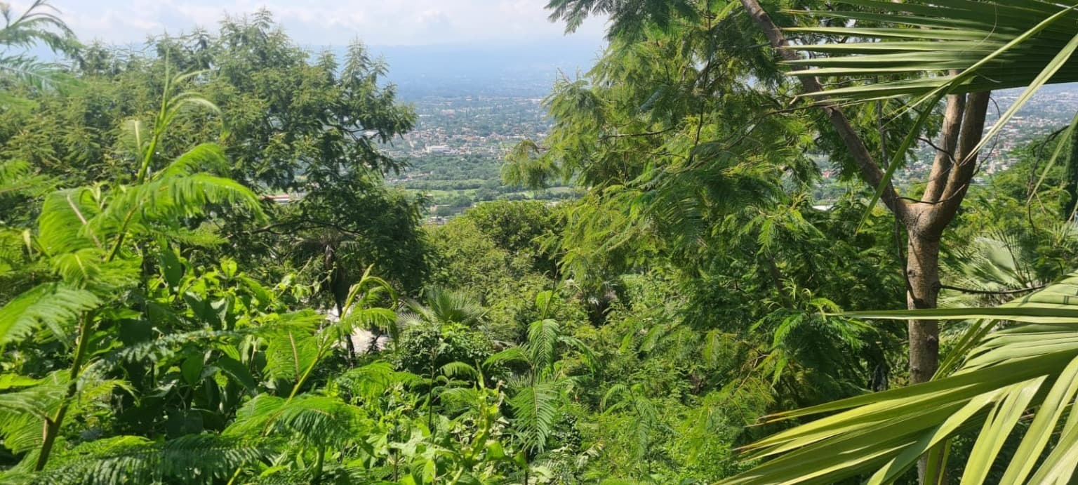 image-5