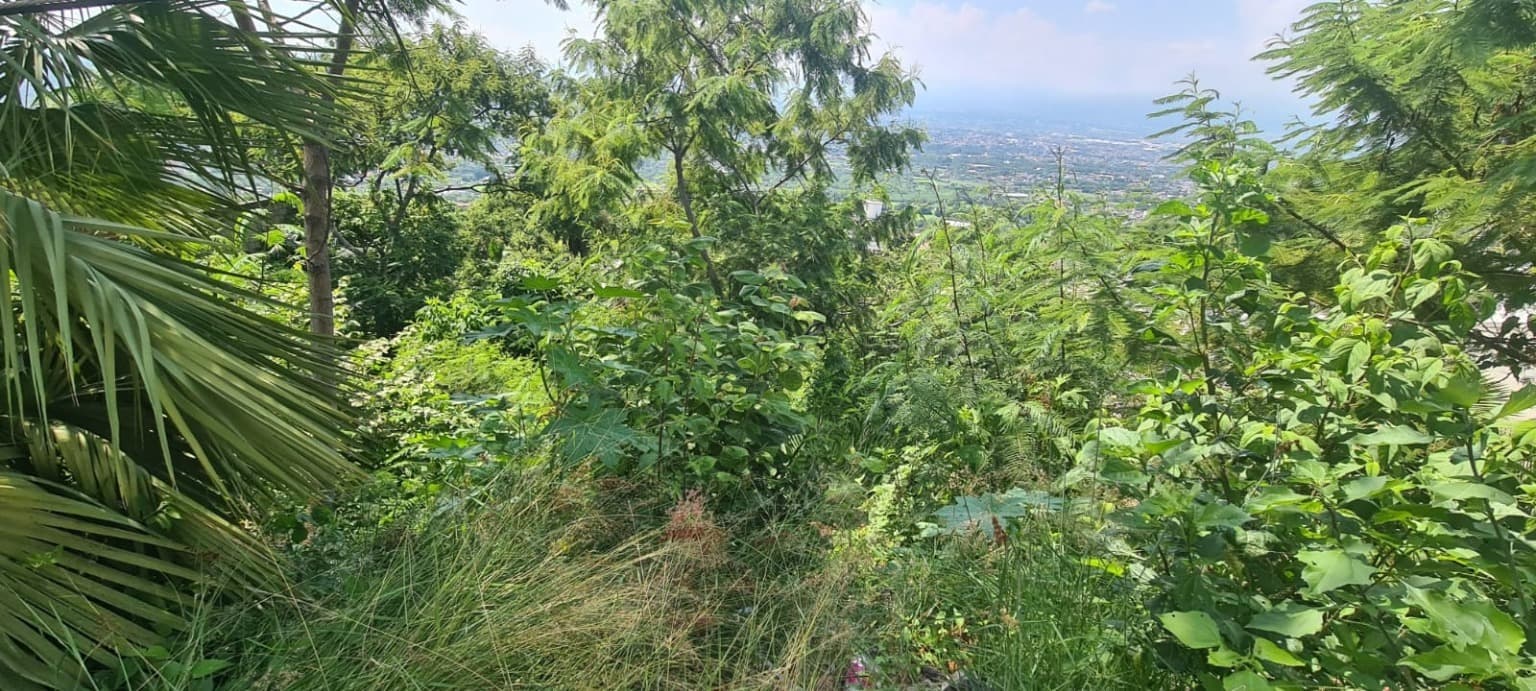 image-7