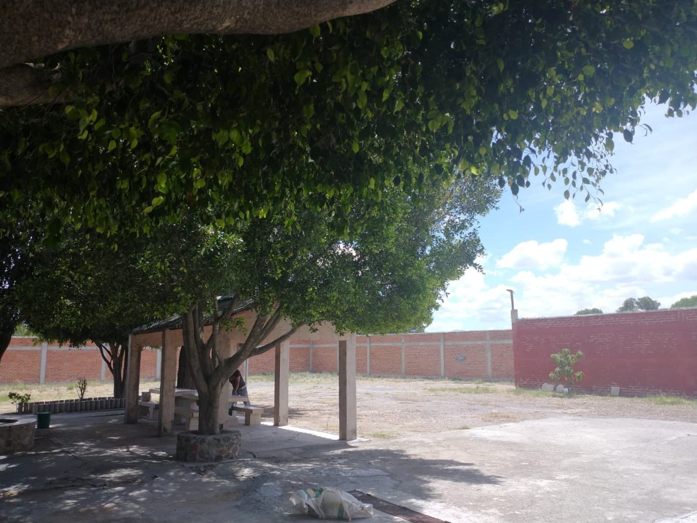 image-1