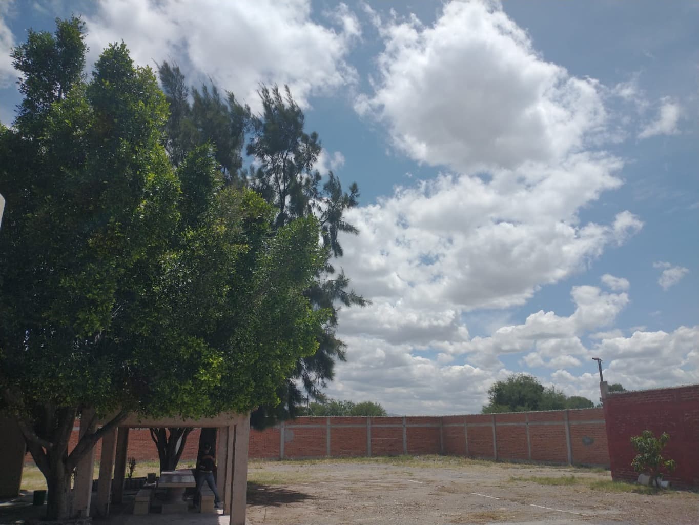 image-3