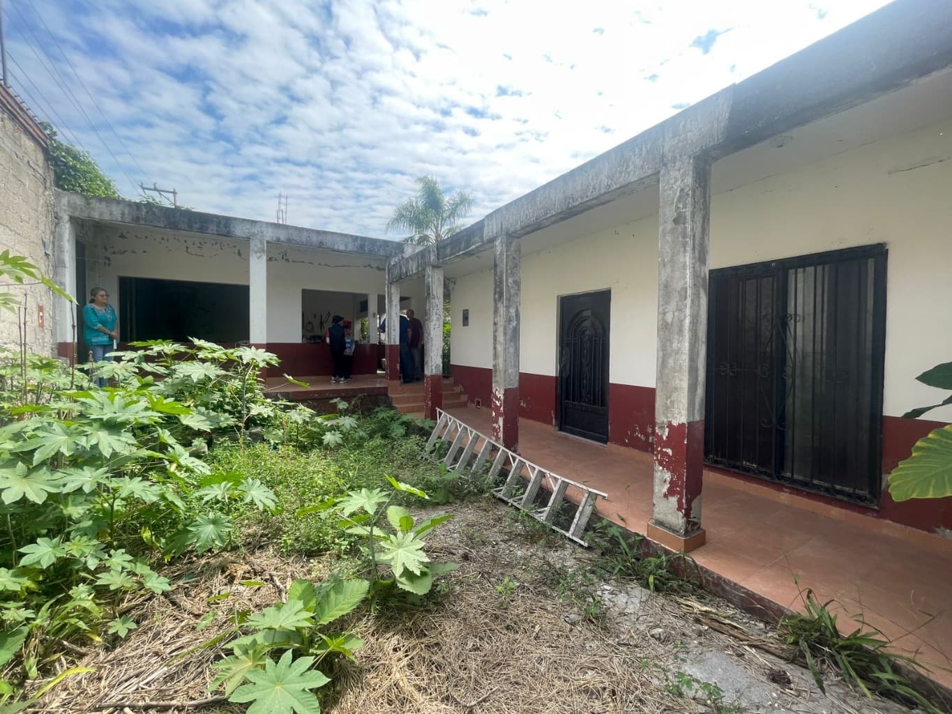 image-3