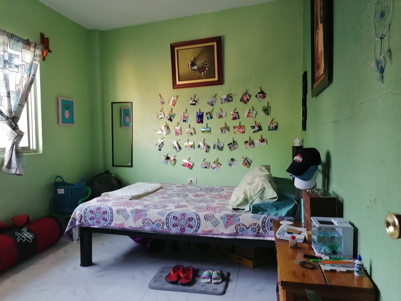 image-5