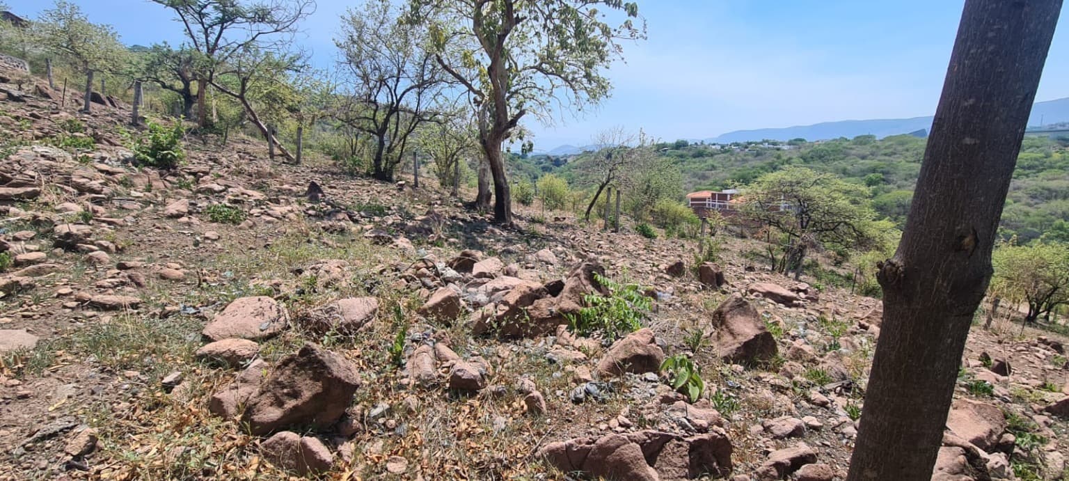 image-4