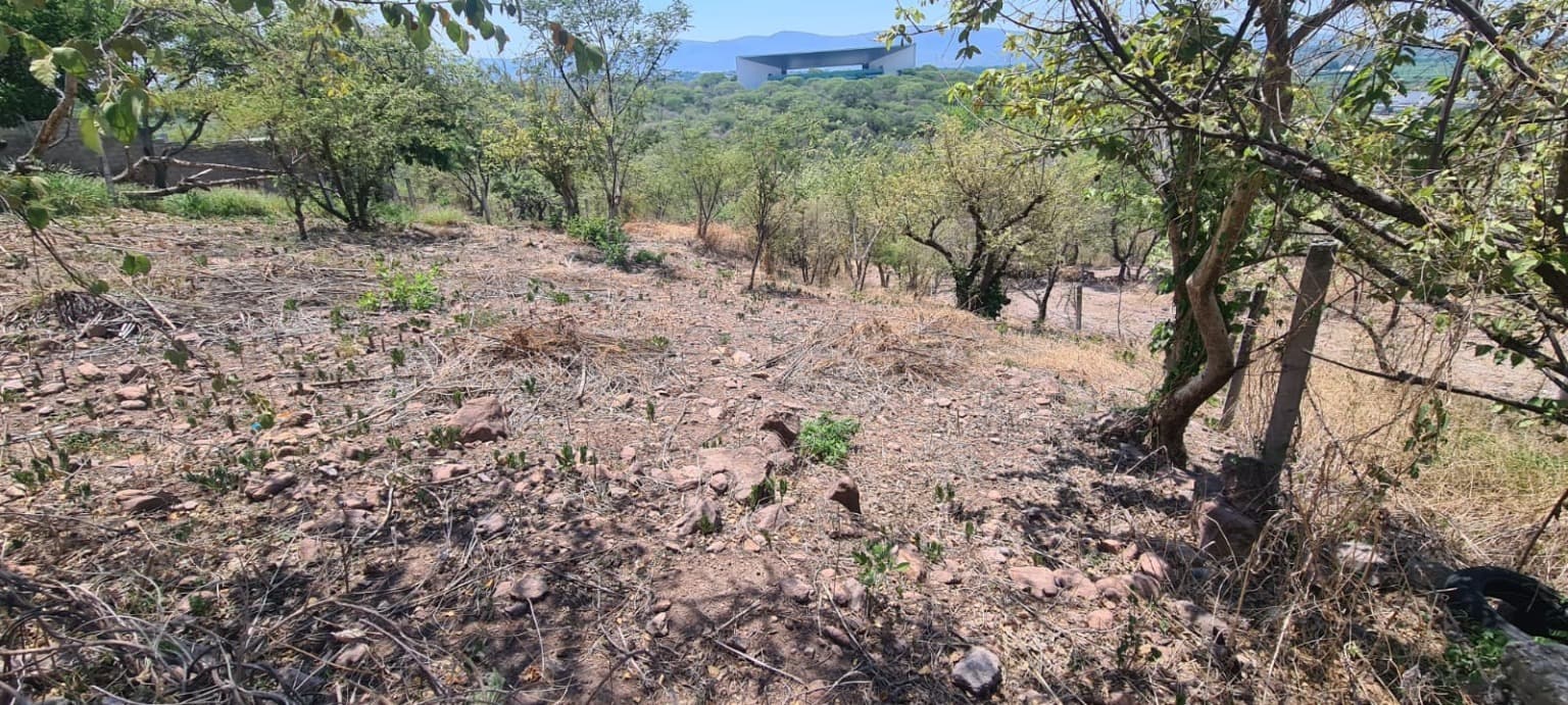 image-0