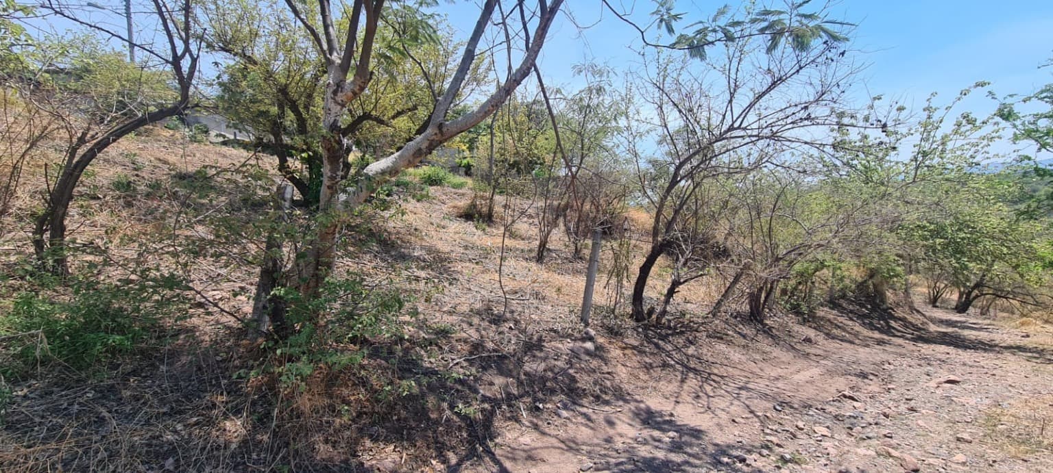 image-3