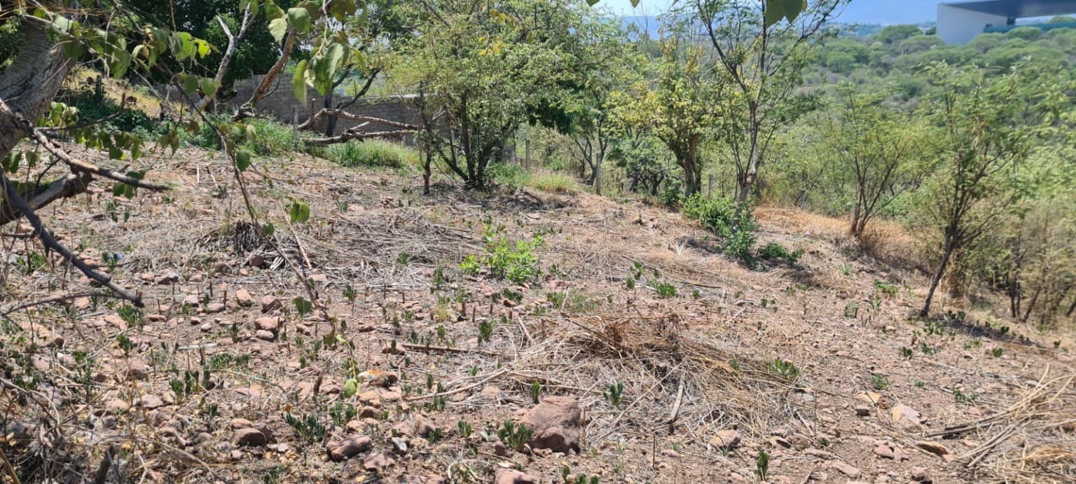 image-9
