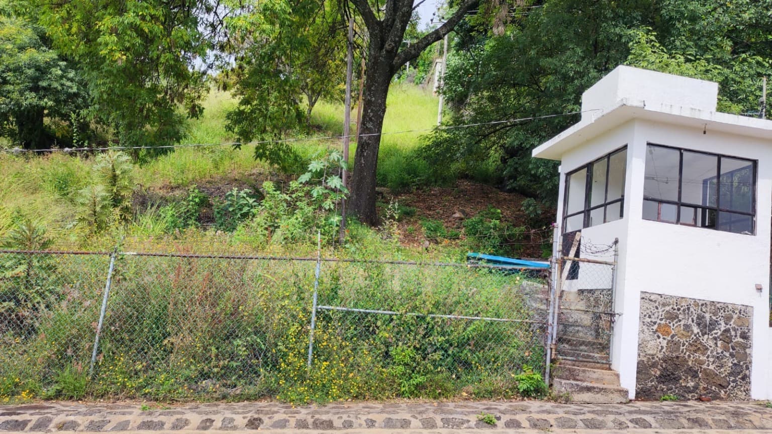 image-5