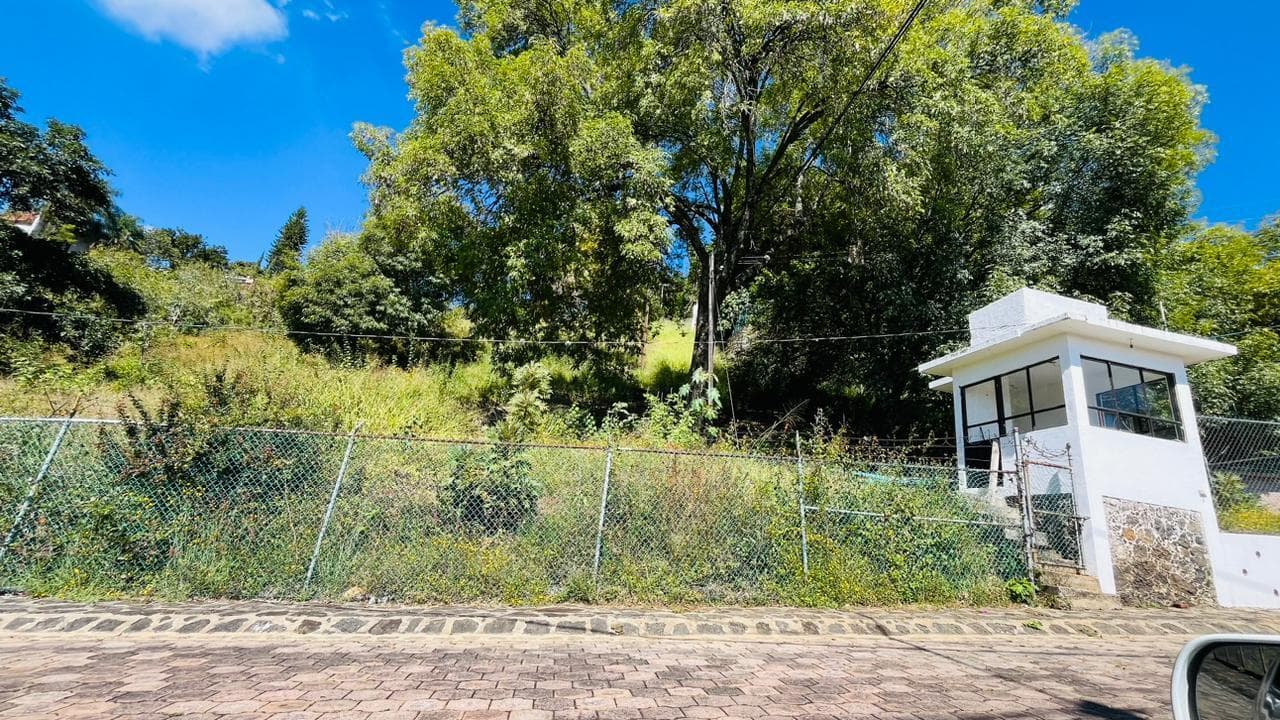 image-2