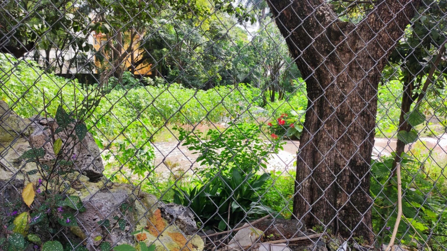 image-16