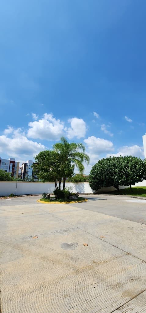 image-0