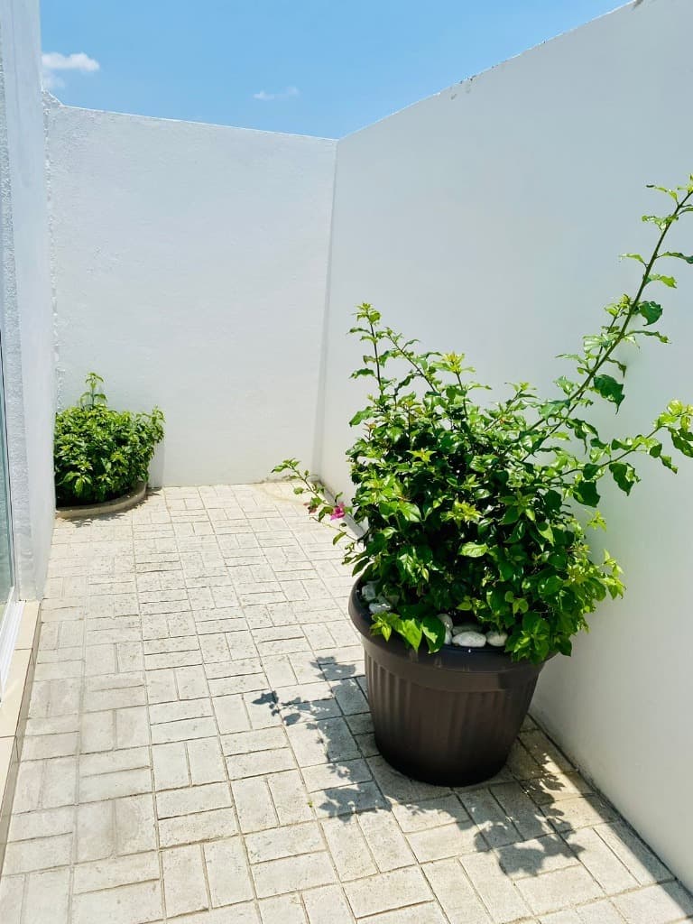 image-19