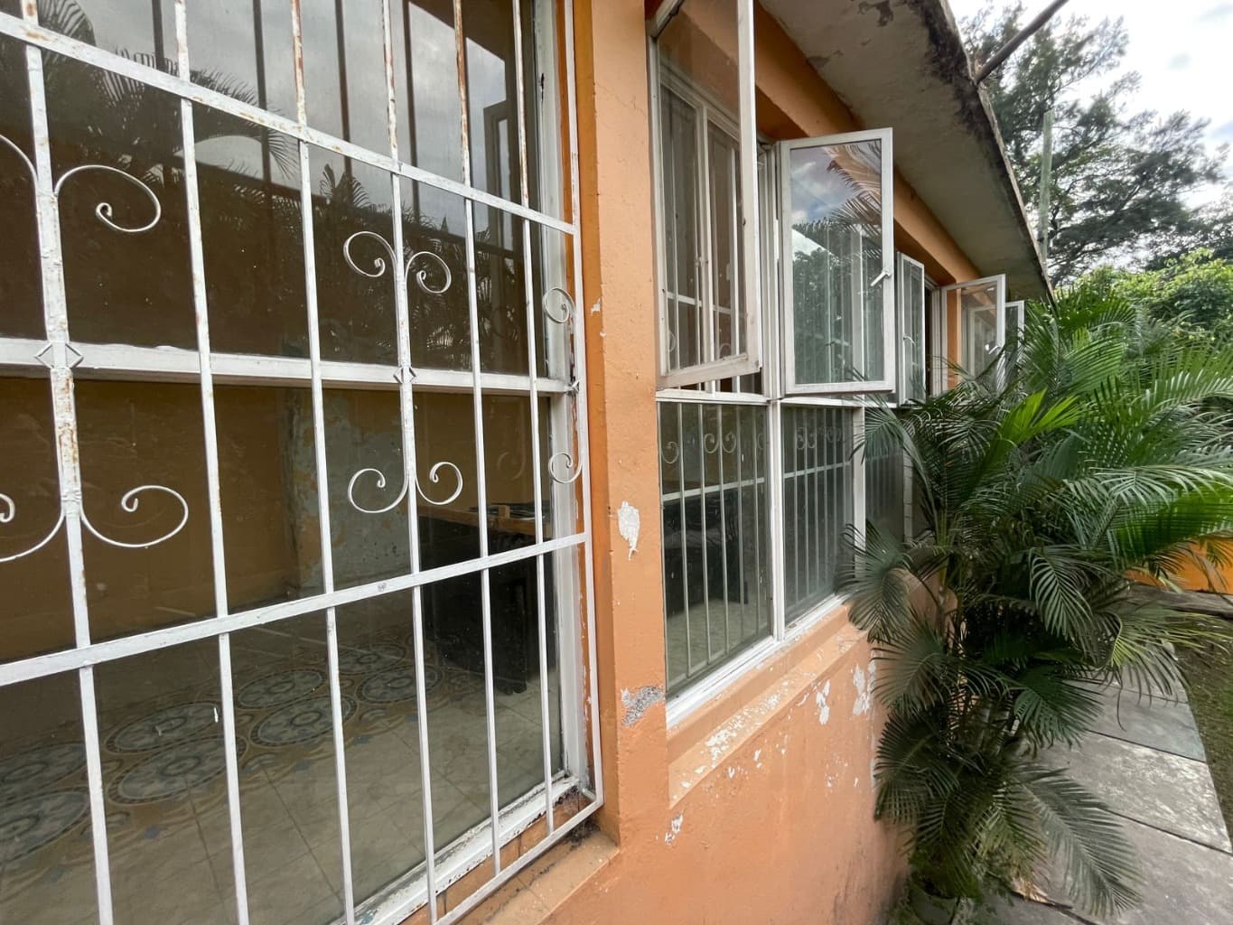 image-19