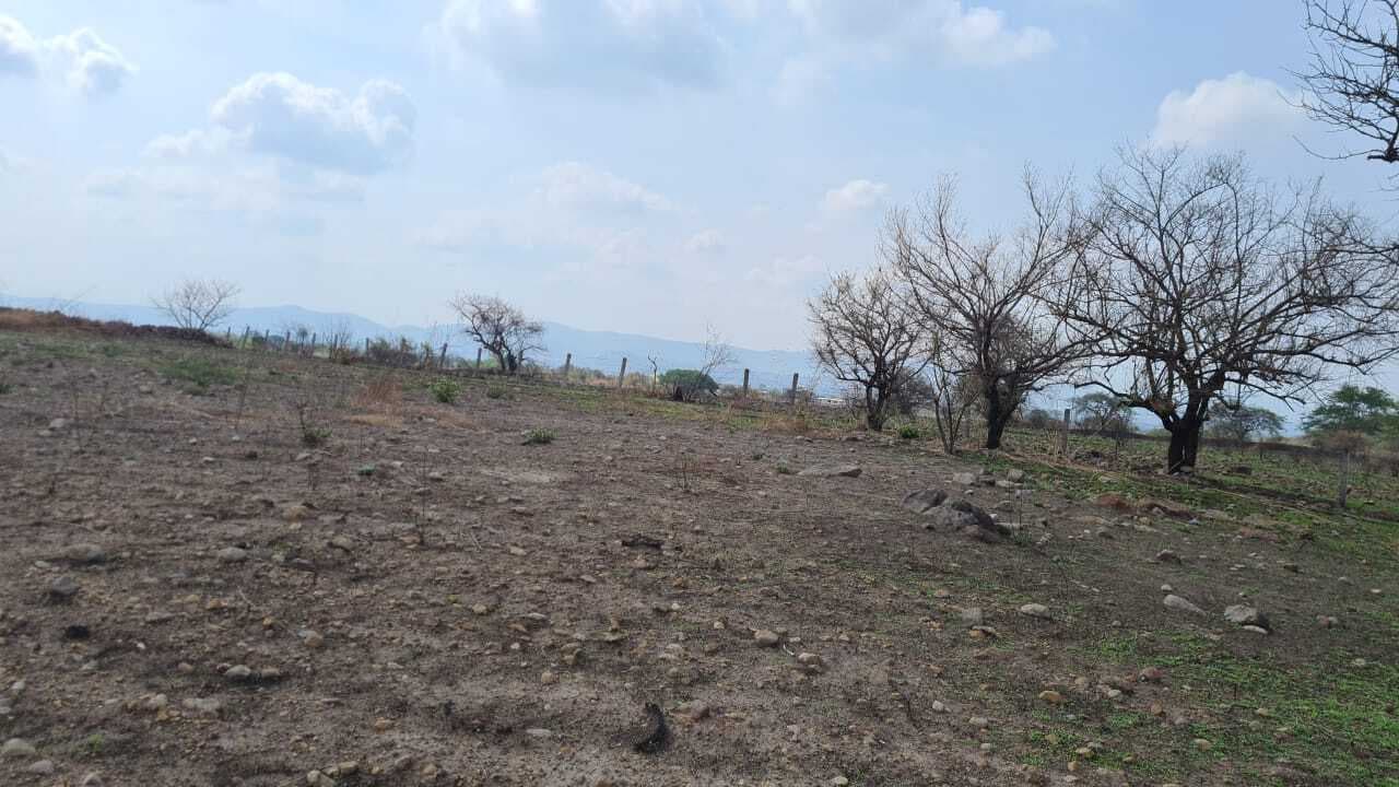 image-0