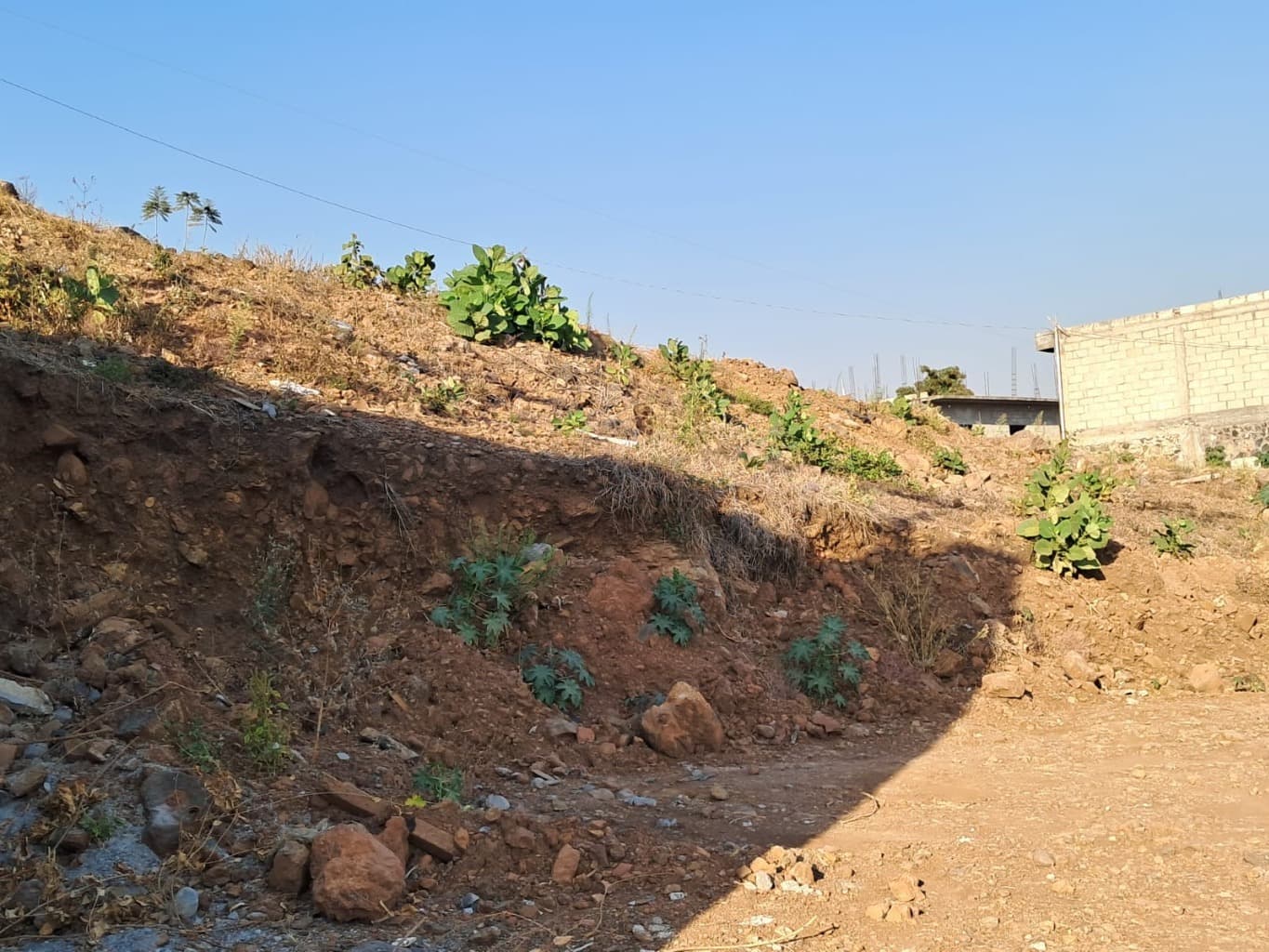 image-8