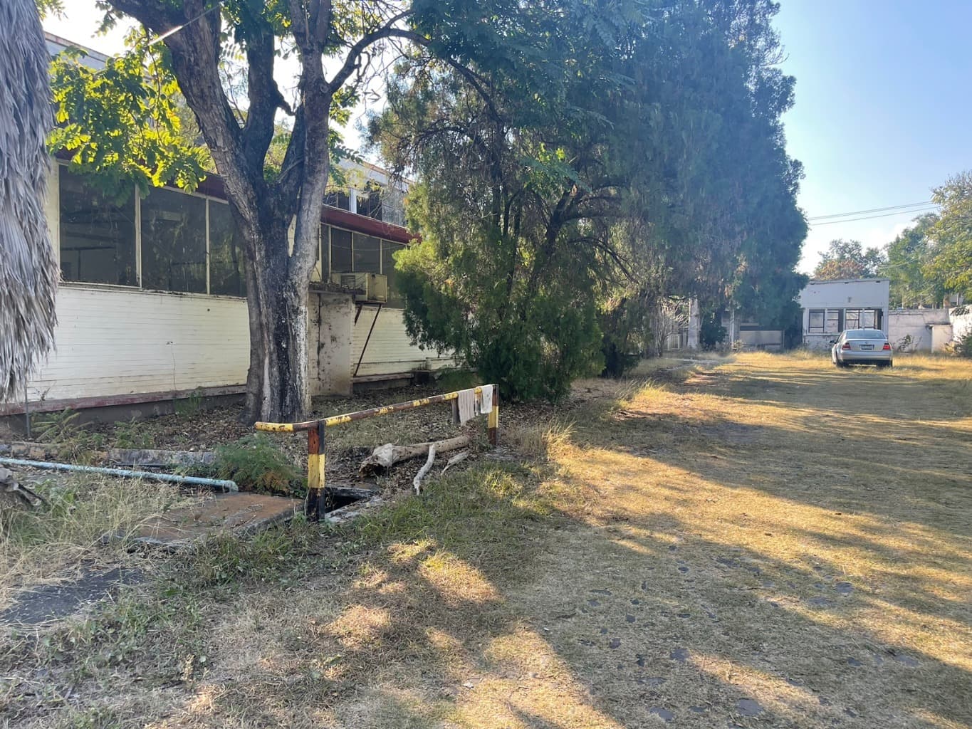 image-2