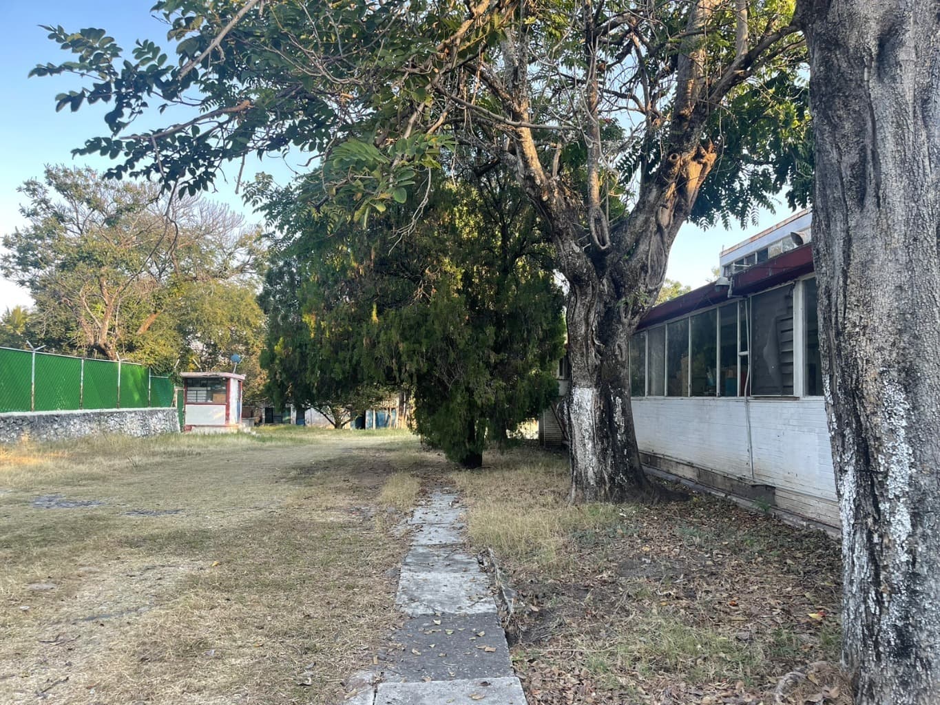 image-5