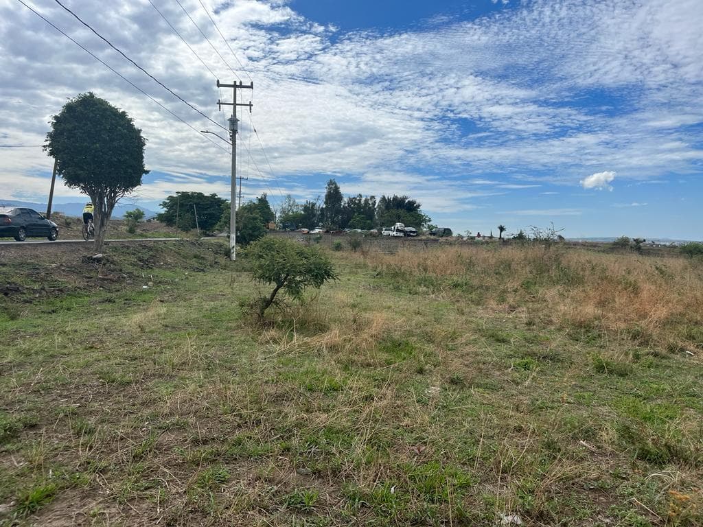 image-0