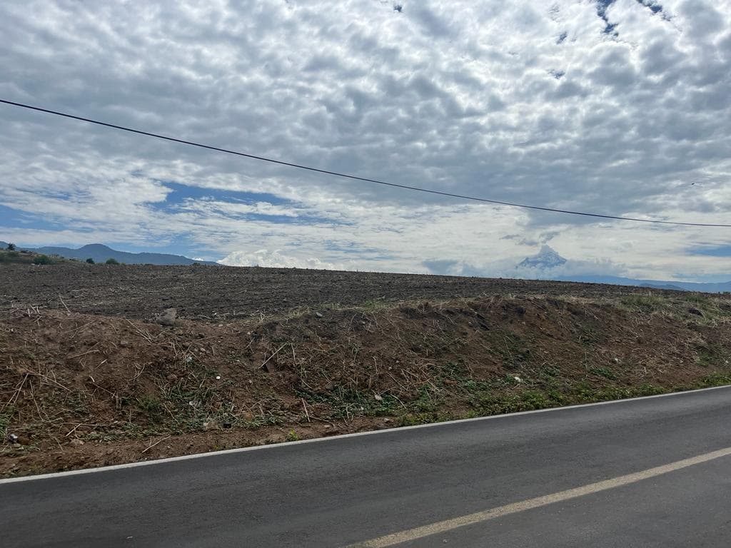 image-7
